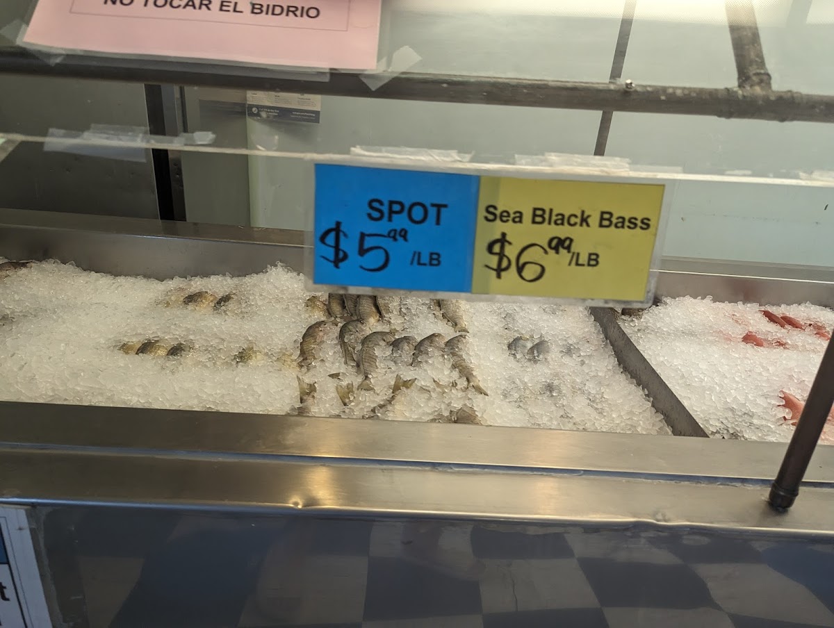 Northside Fish Market